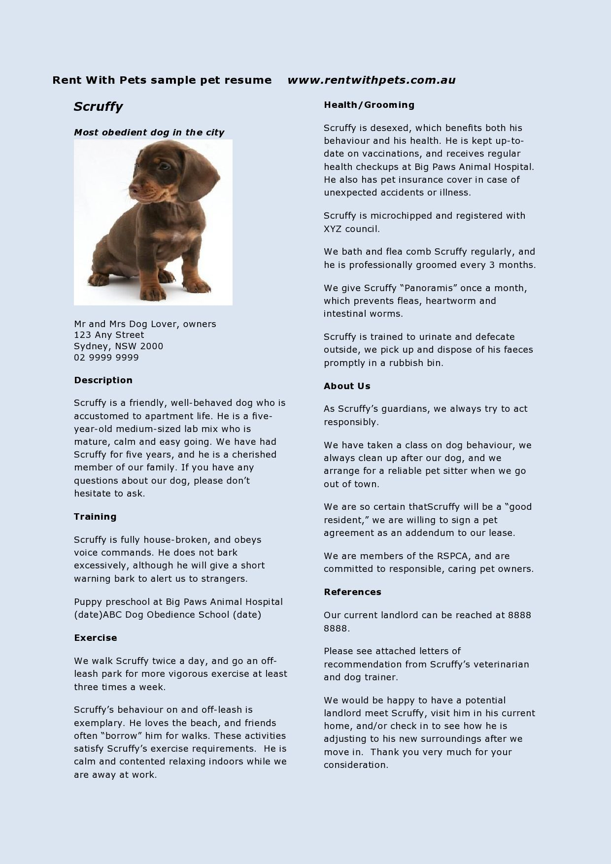 pet-sitter-promotional-tear-sheet-flyer-zazzle-pet-sitting-flyer