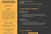 Infographic Resume Template Venngage for size 816 X 1056