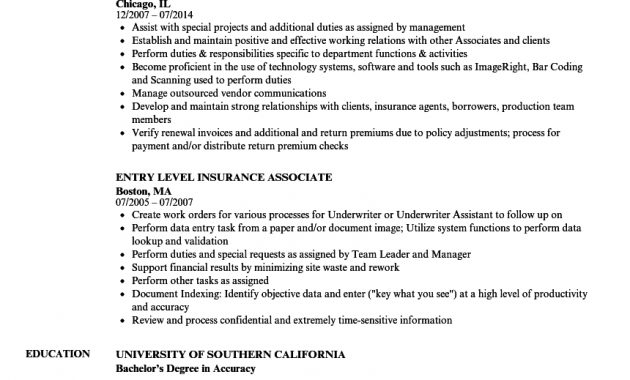 Insurance Associate Resume Samples Velvet Jobs regarding size 860 X 1240