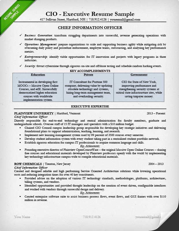 It Executive Resume Examples Debandje within dimensions 620 X 800