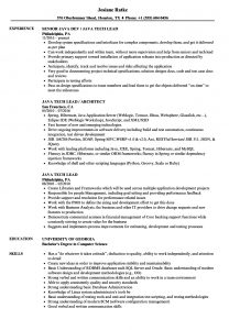 Java Tech Lead Resume Samples Velvet Jobs throughout measurements 860 X 1240