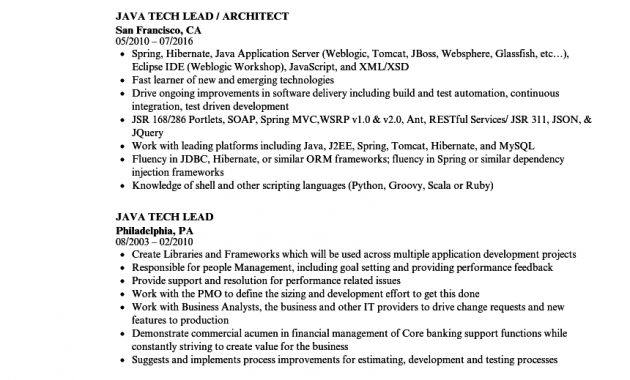 Java Tech Lead Resume Samples Velvet Jobs throughout measurements 860 X 1240