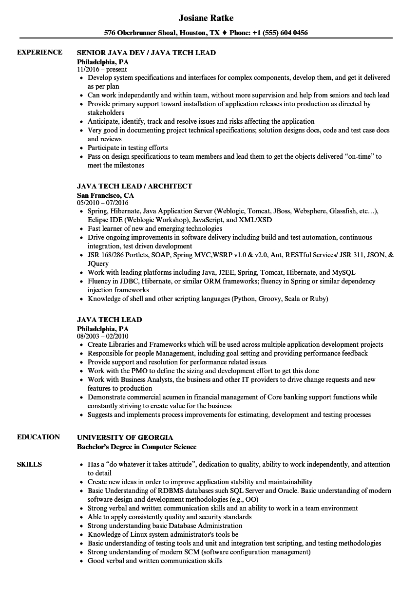 Java Tech Lead Resume Samples Velvet Jobs throughout measurements 860 X 1240