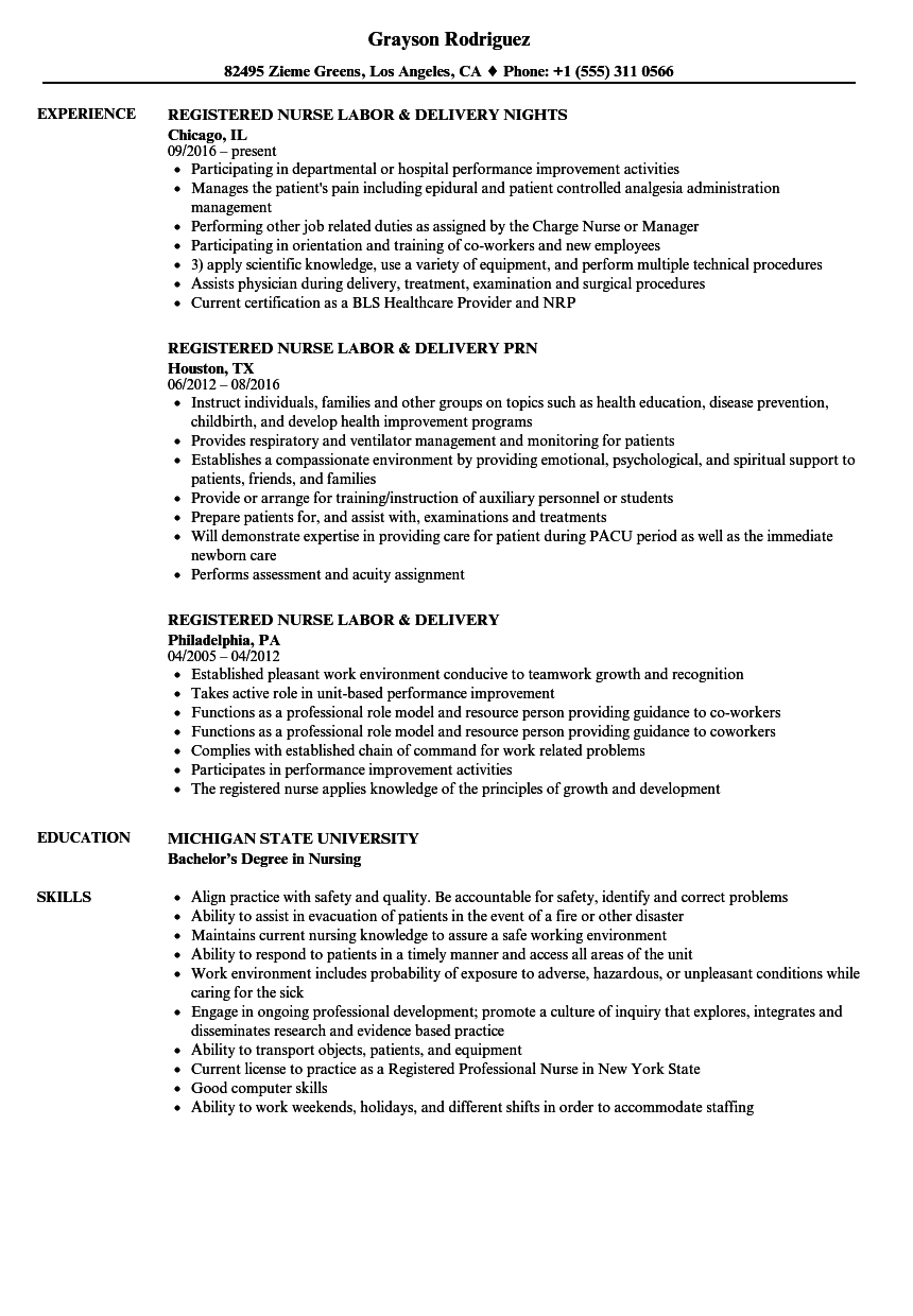 Labor And Delivery Rn Resume Menom with regard to size 860 X 1240