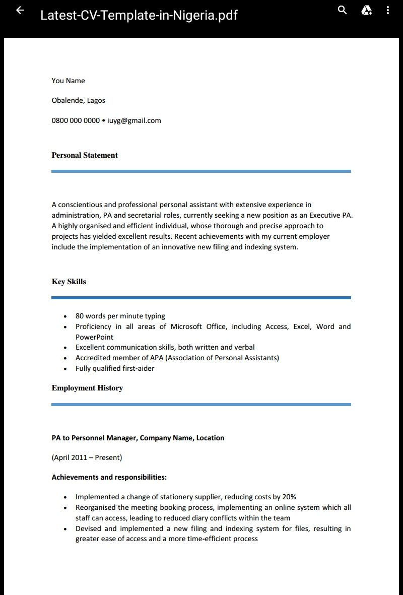 Professional Cv Template In Nigeria Invitation Template Ideas