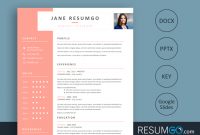 Leda Free Salmon Sidebar Resume Template Resumgo pertaining to size 1024 X 768