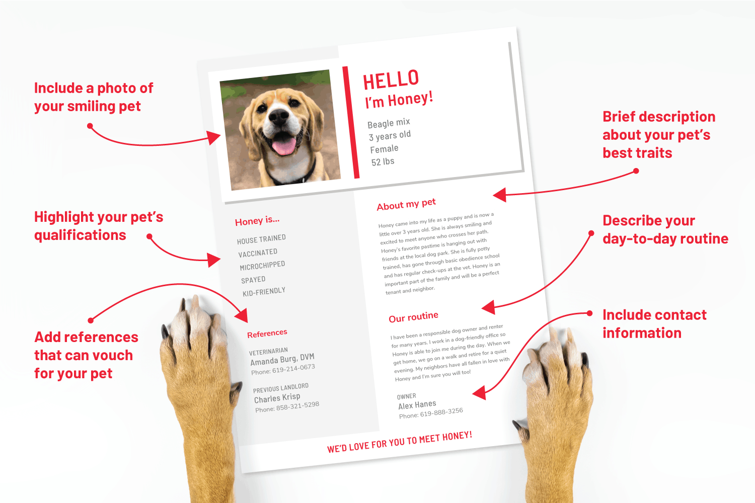 Make A Pet Resume For Your Furry Friend Printable with regard to sizing 1500 X 1000