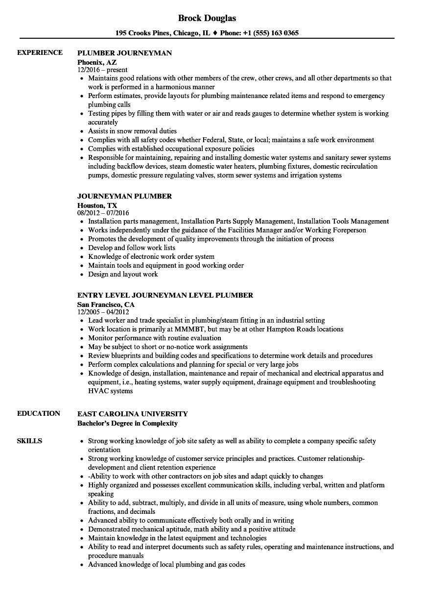 Master Plumber Resume Akali intended for dimensions 860 X 1240