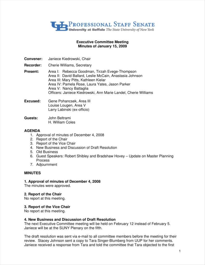 Meeting Summary Template Akali inside proportions 788 X 1019