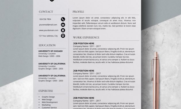 Modern Resume For A Nurse Akali for proportions 3000 X 3000