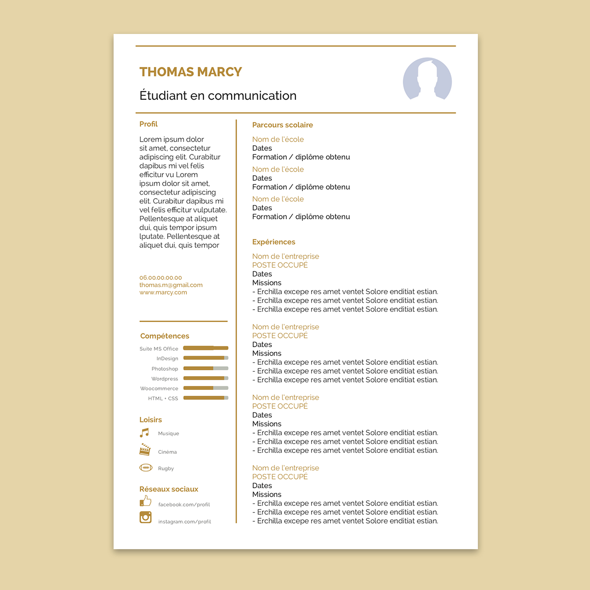 Modle De Cv Tlcharger Et Personnaliser Le Cv Basique regarding measurements 1200 X 1200