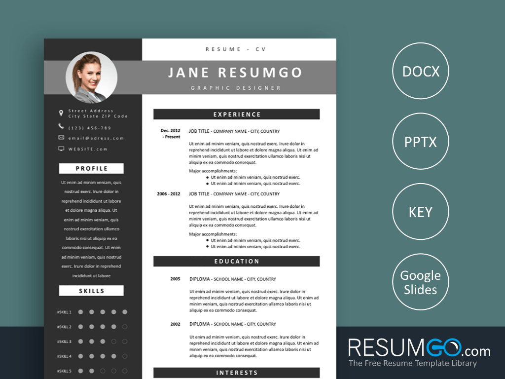 Oinone Gray Modern Resume Template Resumgo pertaining to size 1024 X 768