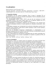 Pdf Les Phosphates with regard to proportions 850 X 1203