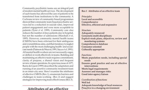 Pdf Running An Effective Community Mental Health Team intended for dimensions 850 X 1100