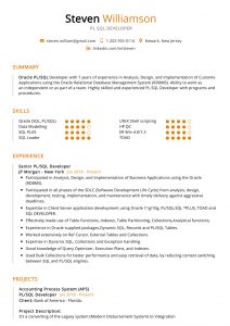 Pl Sql Developer Resume Sample Cv Sample 2020 Resumekraft inside sizing 913 X 1293