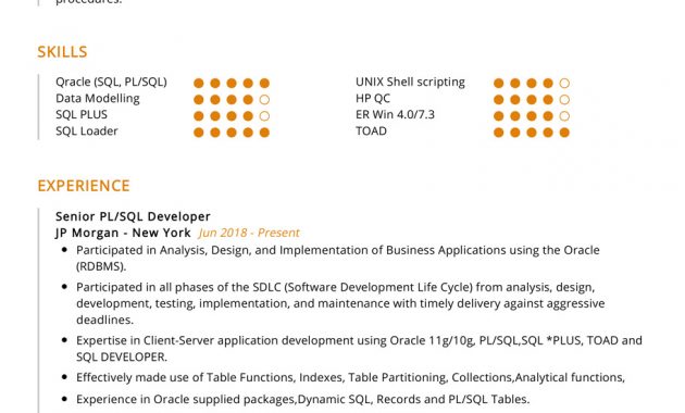 Pl Sql Developer Resume Sample Cv Sample 2020 Resumekraft inside sizing 913 X 1293