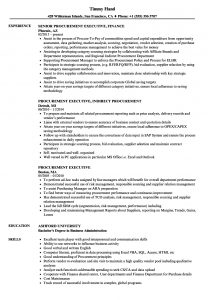 Procurement Executive Resume Samples Velvet Jobs within size 860 X 1240