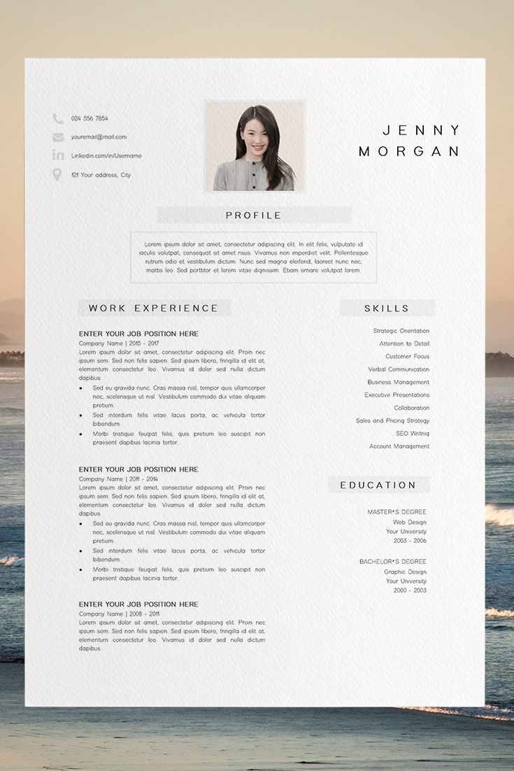 Professional Cv Format Modern Resume Template Resume in proportions 735 X 1102