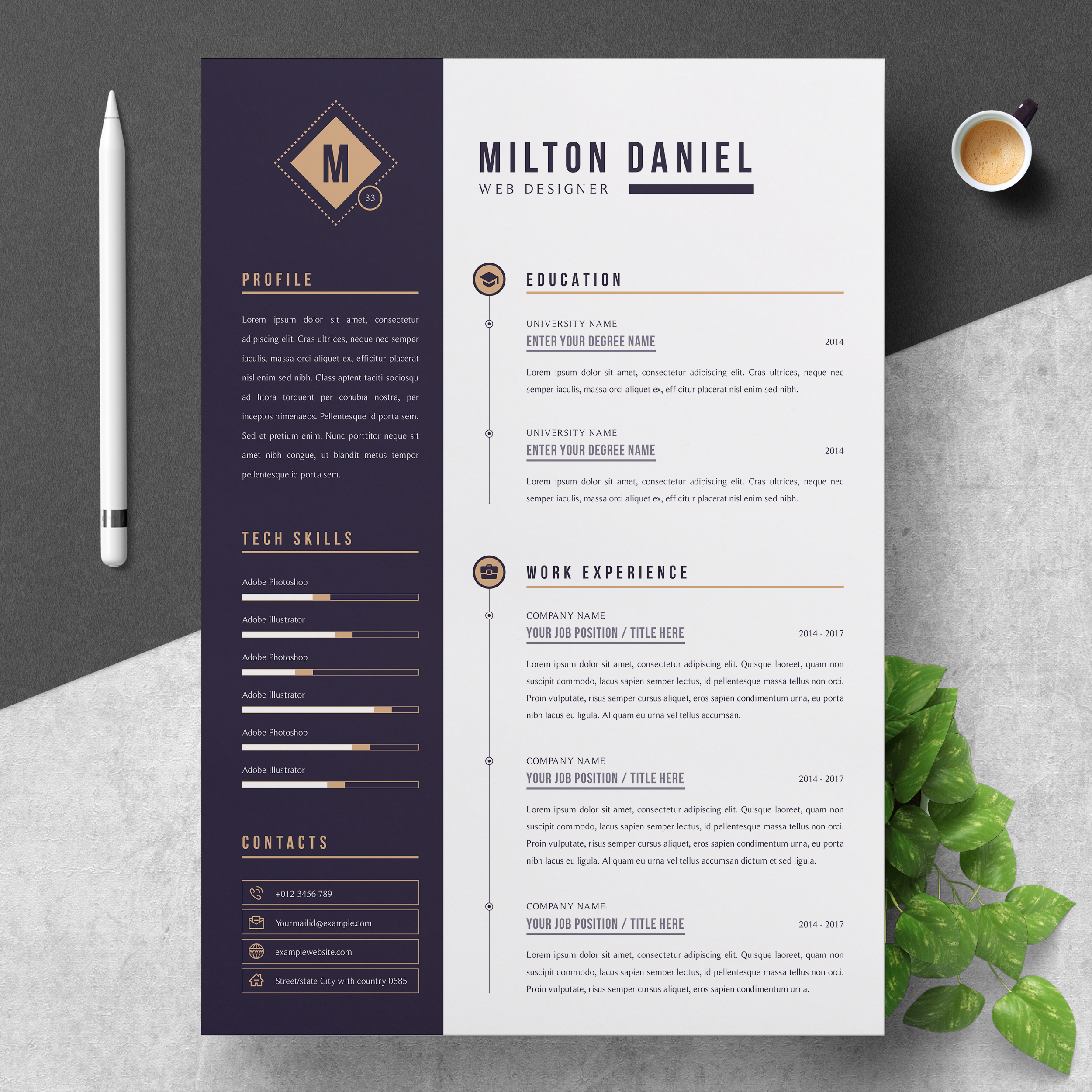 Professional Resume Cv Template Resumeinventor regarding sizing 2500 X 2500