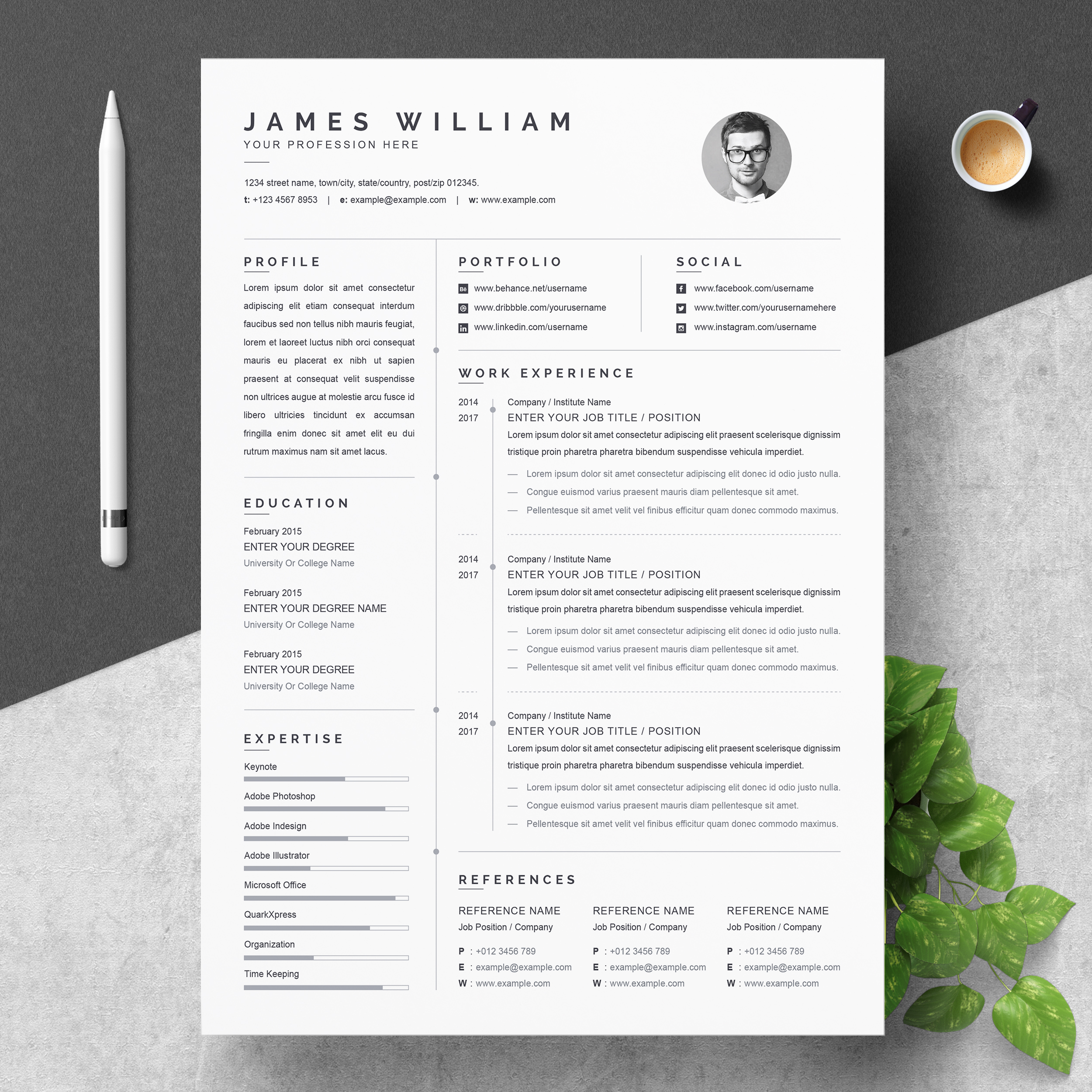 Professional Resume Template With Multiple File Formats for sizing 2500 X 2500