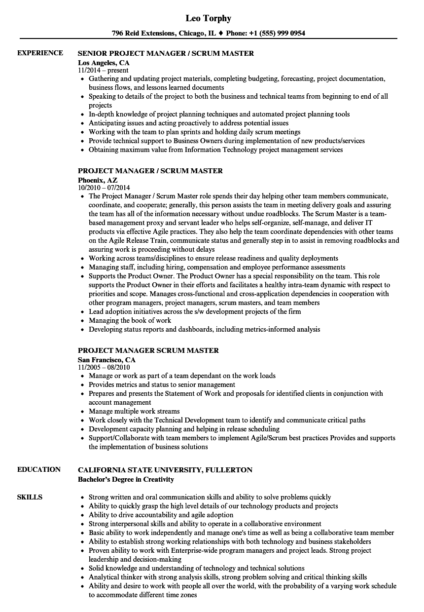 Project Manager Scrum Master Resume Samples Velvet Jobs in sizing 860 X 1240