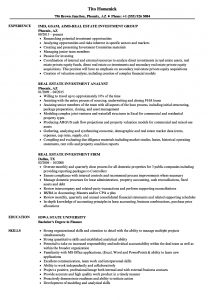 Real Estate Investment Resume Samples Velvet Jobs for proportions 860 X 1240