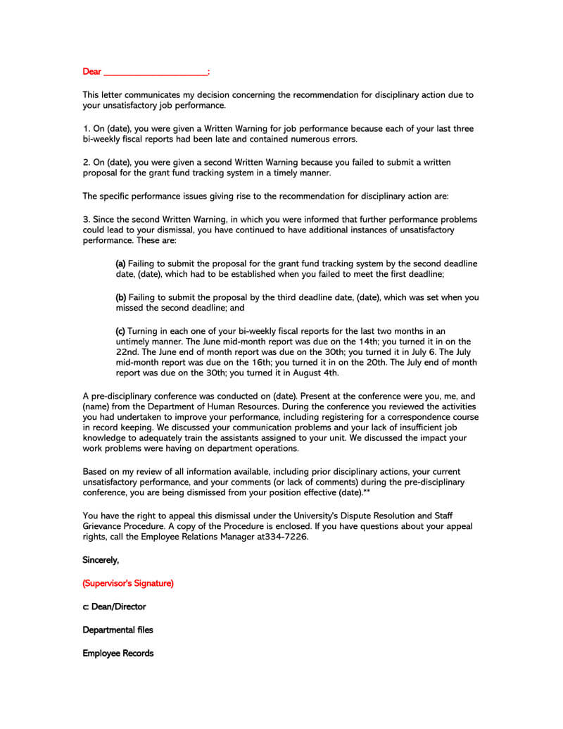 Recommendation Letter For Employment 30 Sample Letters intended for dimensions 800 X 1035