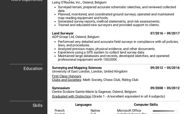 Resume Examples Real People Land Surveyor Resume Sample inside dimensions 1240 X 1754