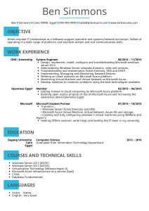 Resume Examples Real People System Administrator Cv inside sizing 1240 X 1754