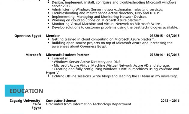 Resume Examples Real People System Administrator Cv inside sizing 1240 X 1754