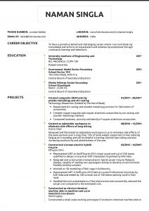 Resume Examples Real People The World Bank Technology with dimensions 1240 X 1754