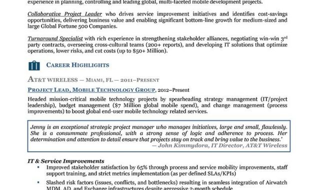 Resume Executive Level Resume 1 Resume Functional Executive in measurements 791 X 1024