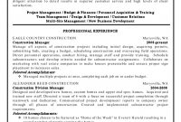 Resume Format 20 Years Experience Project Manager Resume pertaining to measurements 834 X 1080