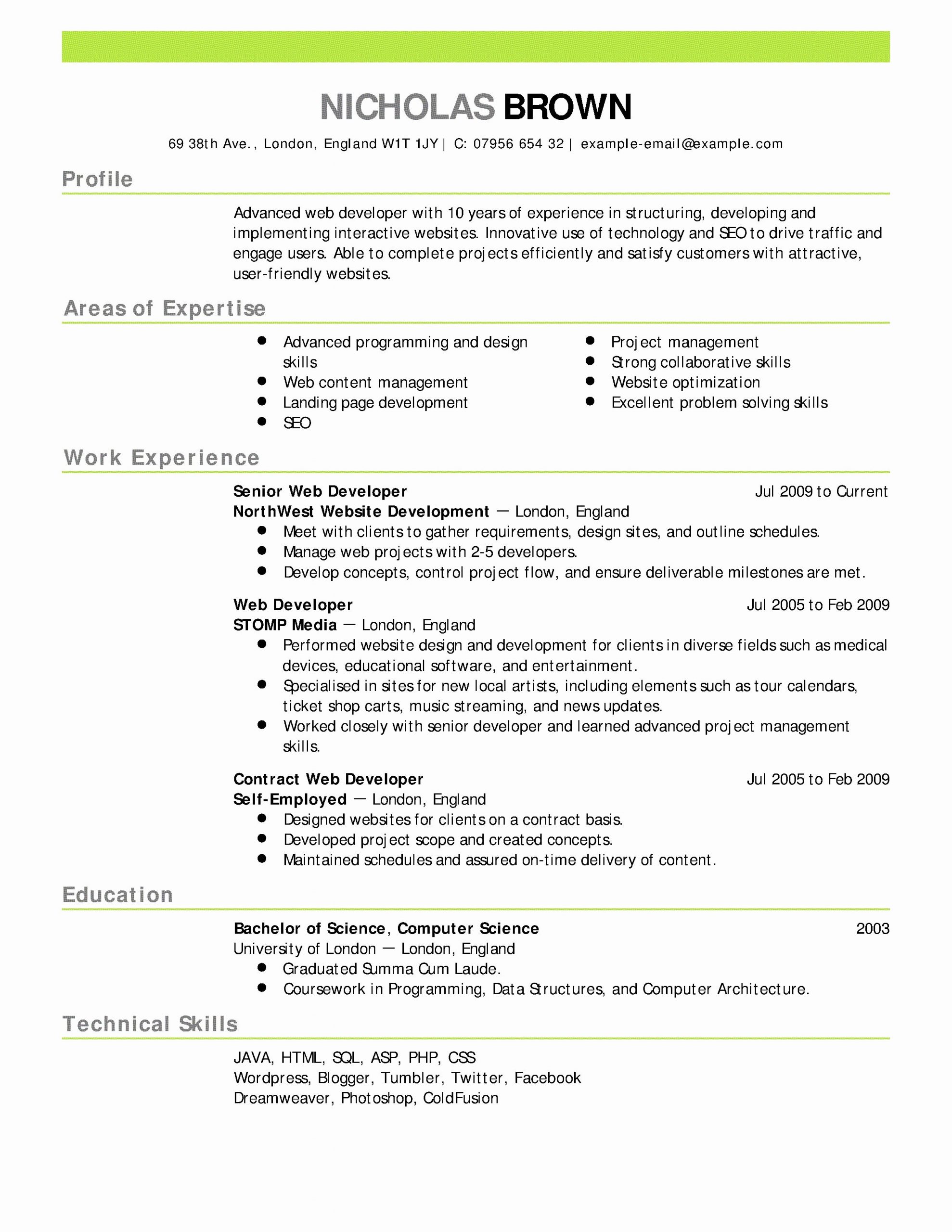 Resume Summary Of Qualifications Examples Project Manager with proportions 2550 X 3300