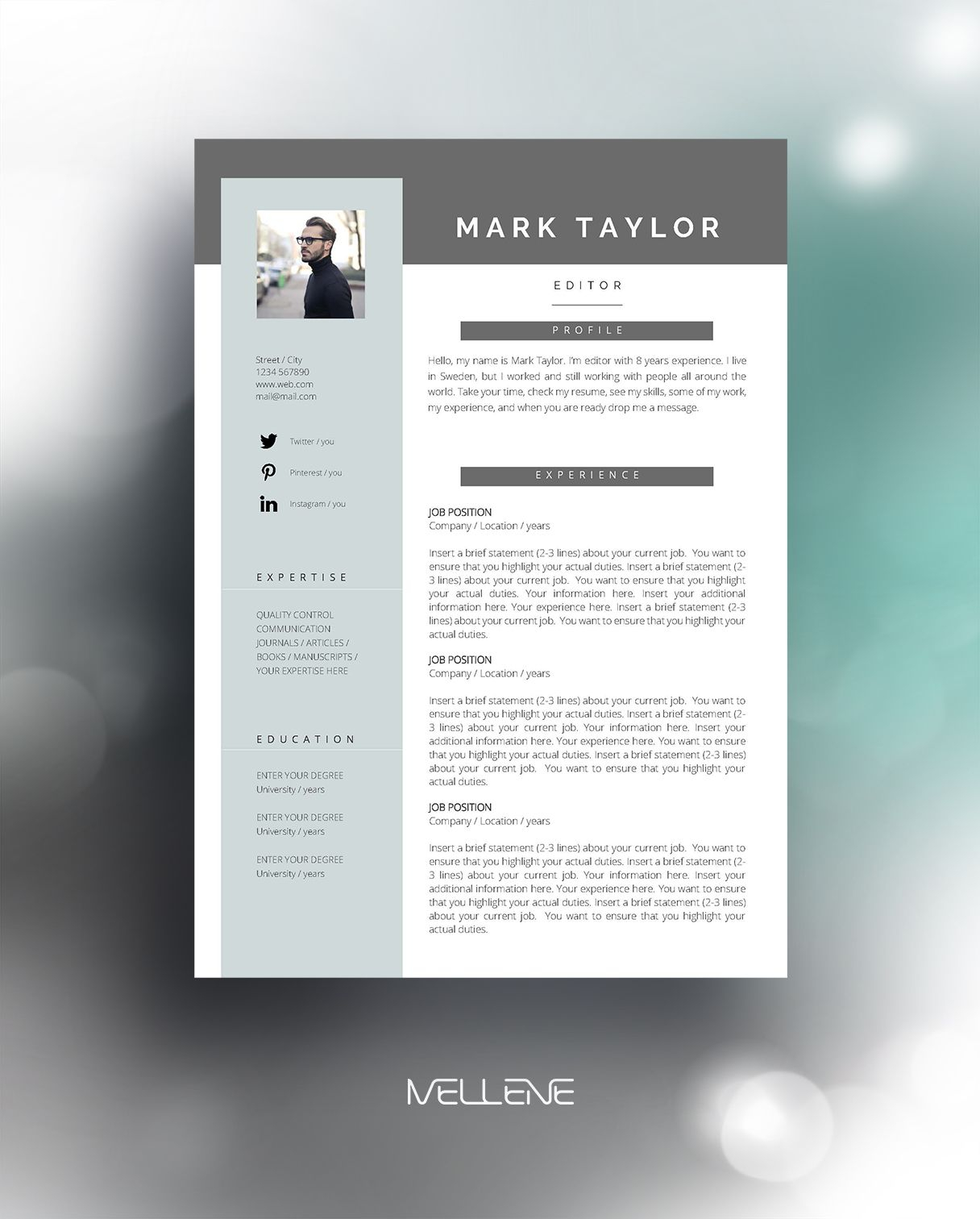 Resume Template 3 Page Cv Template Cover Letter within proportions 1216 X 1512