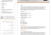 Resume Template Felix Lifebrander for sizing 970 X 852