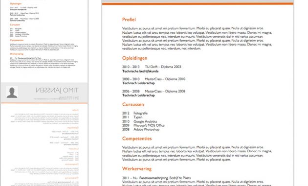 Resume Template Felix Lifebrander for sizing 970 X 852