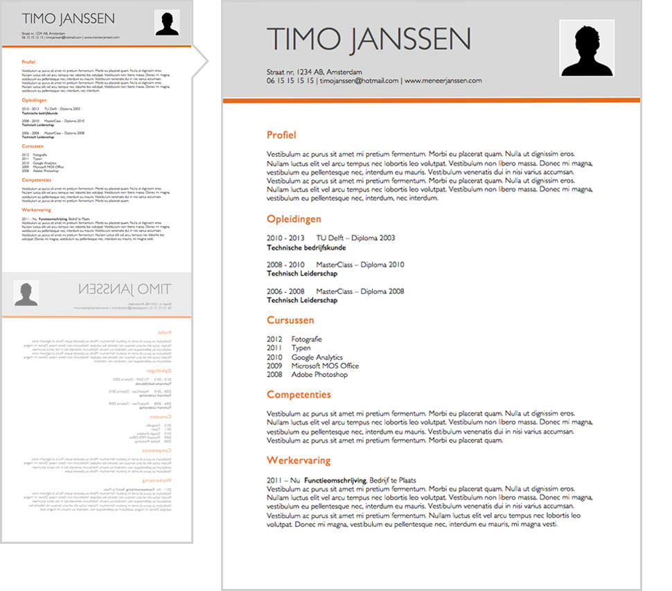 Resume Template Felix Lifebrander for sizing 970 X 852