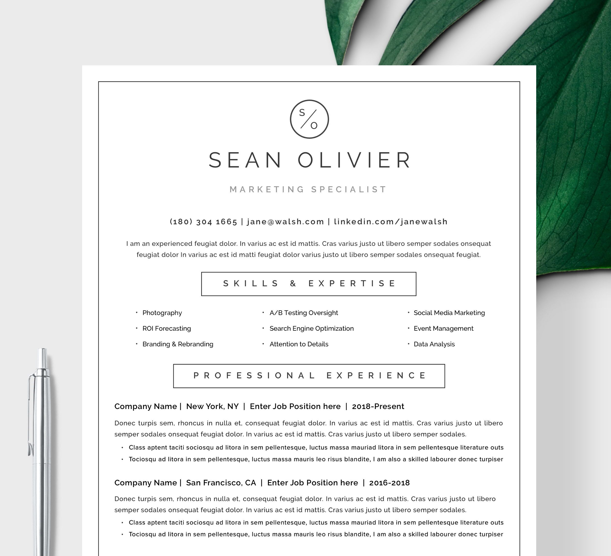 Resume Template Resume Cv Template Cv Design inside dimensions 2500 X 2273