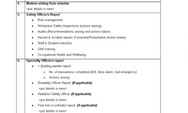 Risk Management Meeting Agenda Templates At in measurements 793 X 1122