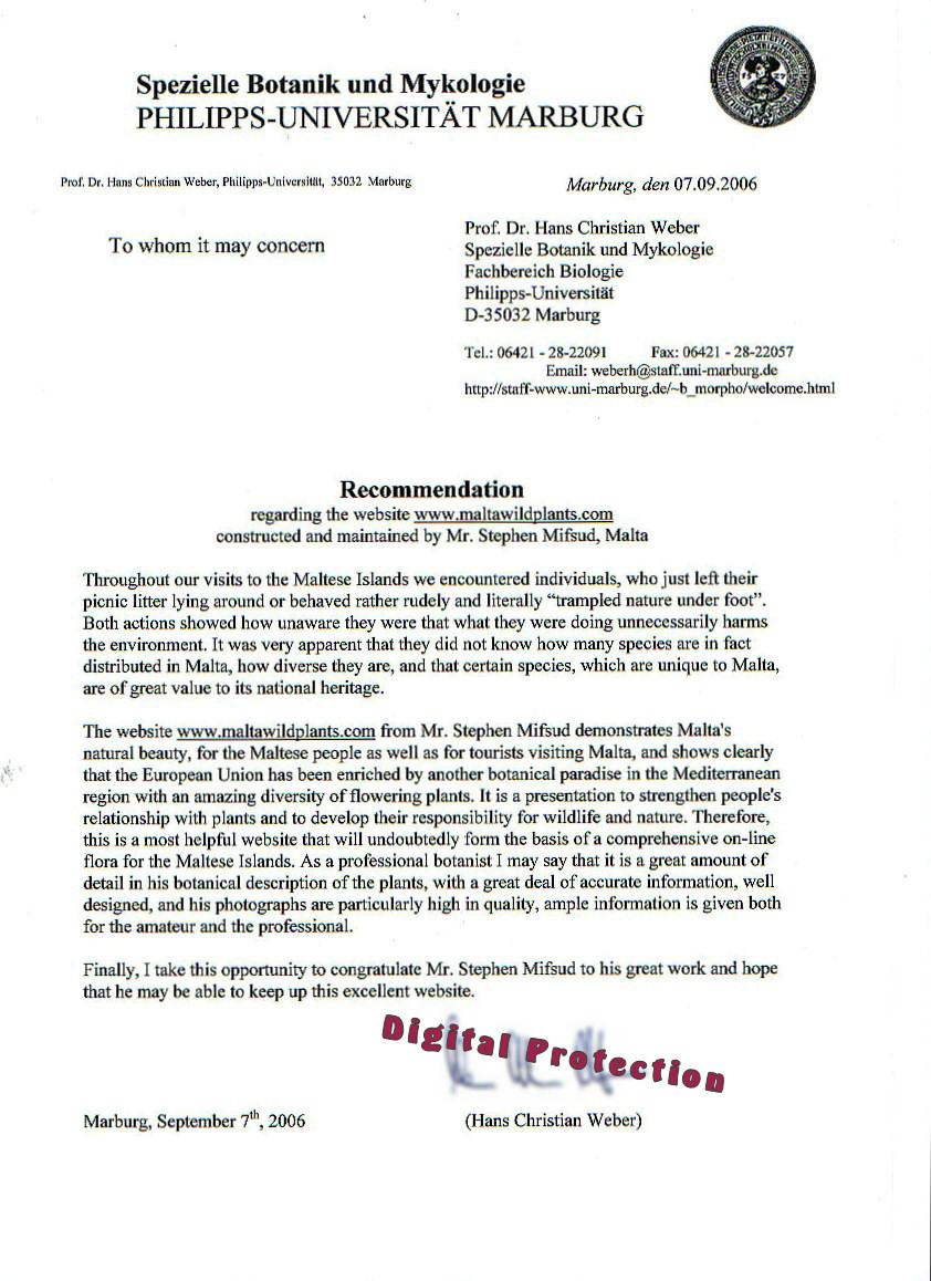 Sample Faculty Recommendation Letter Debandje pertaining to sizing 842 X 1158