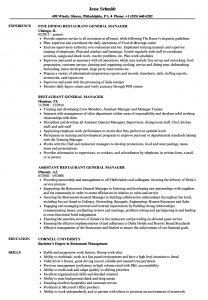 Sample General Manager Resumes Debandje with measurements 860 X 1240