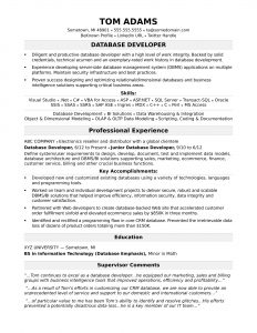 Sample Resume For A Midlevel It Developer Monster with sizing 1700 X 2200