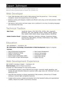 Sample Resume For An Entry Level It Developer Monster in size 1700 X 2200