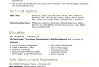 Sample Resume For An Entry Level It Developer Monster pertaining to measurements 1700 X 2200