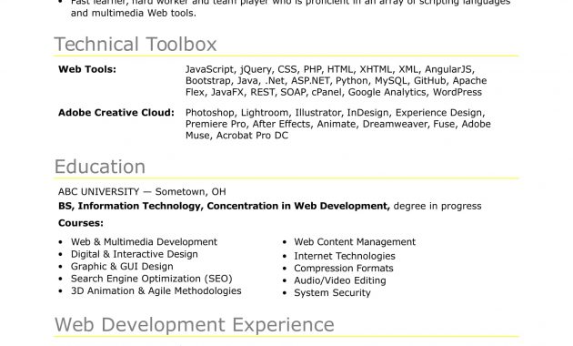 Sample Resume For An Entry Level It Developer Monster pertaining to measurements 1700 X 2200