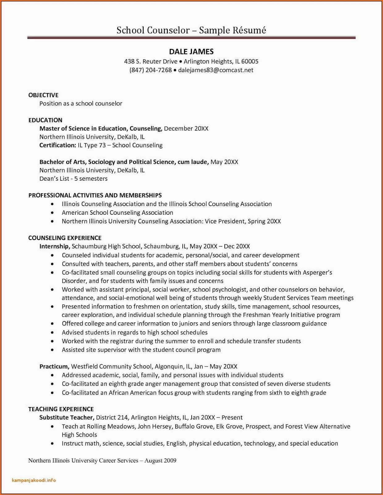 School Counselor Resume Sample 2019 Cv Examples 2020 with proportions 1239 X 1600