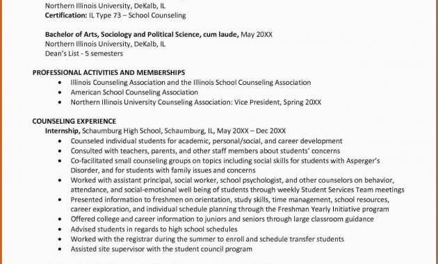 School Counselor Resume Sample 2019 Cv Examples 2020 with size 1239 X 1600