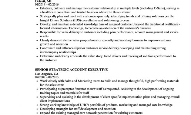 Senior Executive Resume Akali throughout measurements 860 X 1240