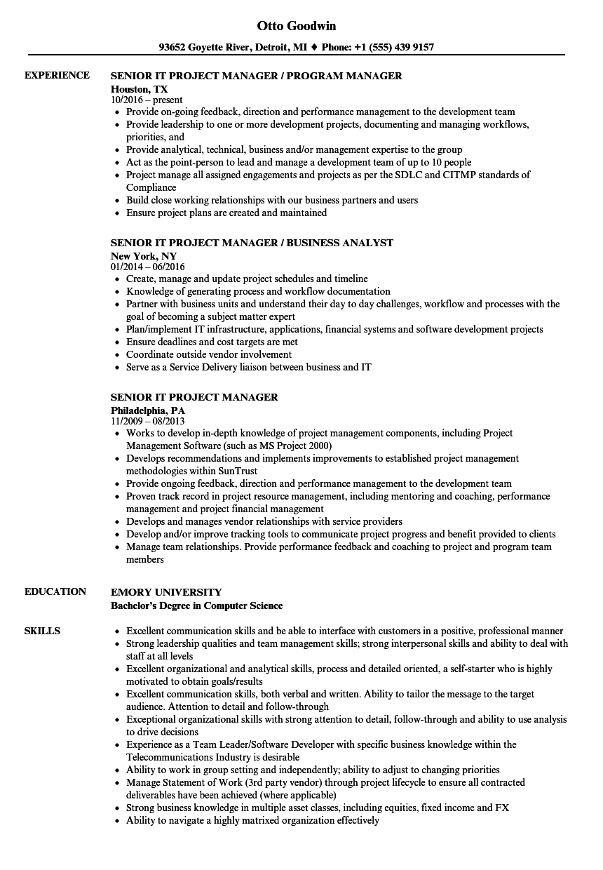 Senior It Project Manager Resume Samples Velvet Jobs throughout sizing 860 X 1240